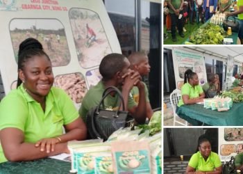 LBS Former Director General, Joins The Agro Industry Business, Set To Participate In A Week-long Study Tour In Ghana