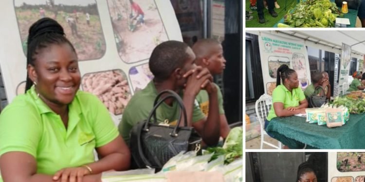 LBS Former Director General, Joins The Agro Industry Business, Set To Participate In A Week-long Study Tour In Ghana