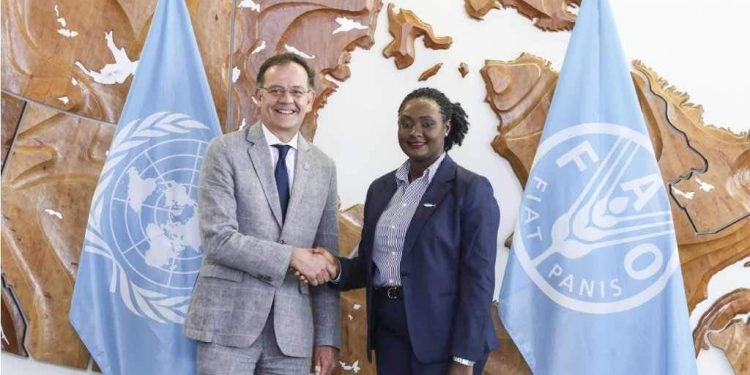 Liberia’s Fisheries DG Holds Bilateral Engagement With FAO ADG