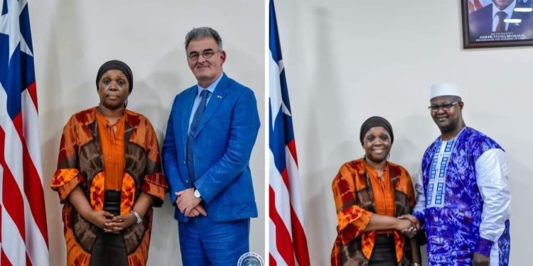 Foreign Minister Nyanti Receives Two Ambassadors-designate To Liberia, Ireland and Guinea