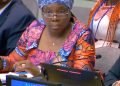 Foreign Minister Nyanti Addresses Liberia Configuration of the Peacebuilding Commission at the United Nations