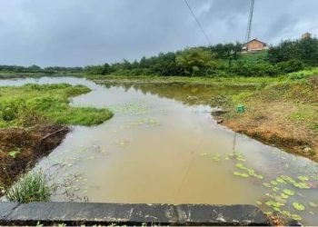 Citizens accused Firestone Rubber Plantation of polluting water sources in Margibi County