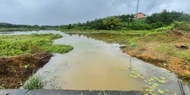 Citizens accused Firestone Rubber Plantation of polluting water sources in Margibi County