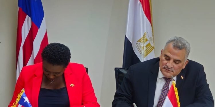 Madam Emma Glassco and Major General AlHussein Farahat Mohamed, Executive Director