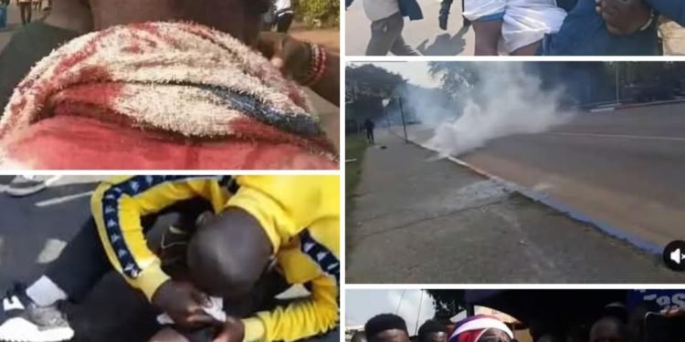 Bloody Tuesday As Several Protesters Sustained Wounds