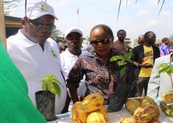 LACRA Launches Five-Month Radio Education Campaign on Cocoa Pricing and Quality Control