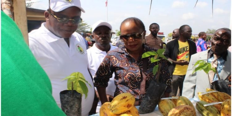 LACRA Launches Five-Month Radio Education Campaign on Cocoa Pricing and Quality Control
