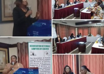 AFELL, Gender and Partners Begin A Two Day Review Process On A Draft FGM Prohibition Bill