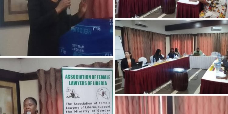 AFELL, Gender and Partners Begin A Two Day Review Process On A Draft FGM Prohibition Bill