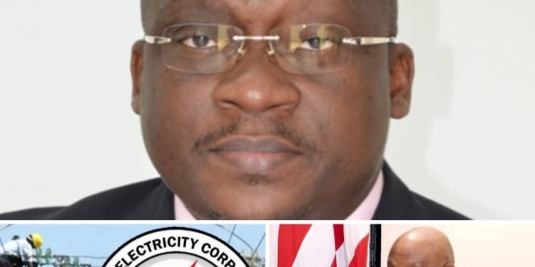 PRESIDENT BOAKAI UNLOCKS THE SOLUTION TO LIBERIA’S ENERGY CRISIS