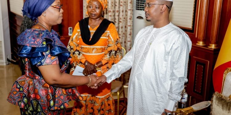 Foreign Minister Nyanti Meets With Chadian President Mahamat Idriss Deby for UNSC Non-Permanent Seat Bid